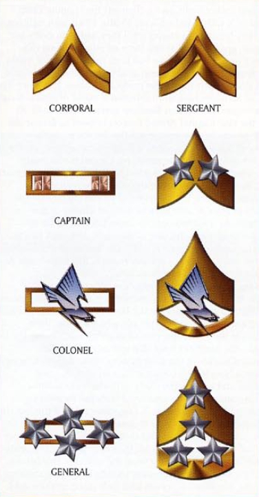 Insignia & Themes 3